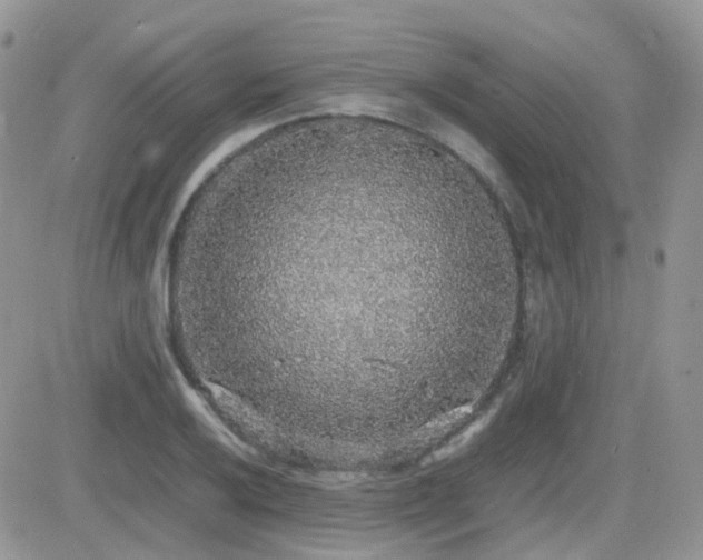 X0000082691032200701261215