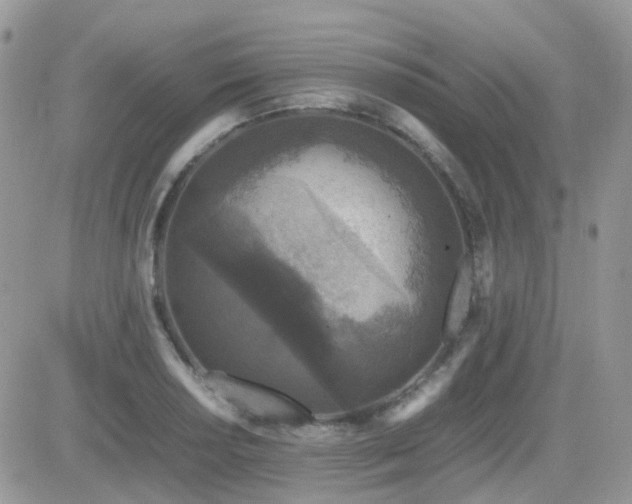 X0000082691034200701261215