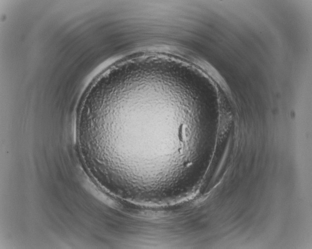 X0000082691036200701261215