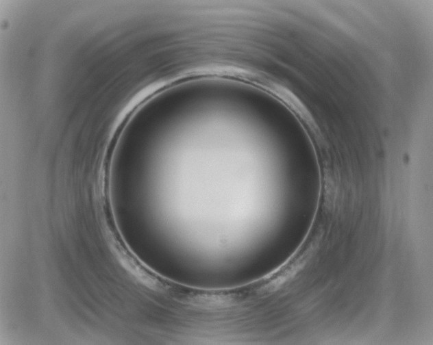 X0000082691044200701261215