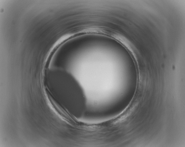 X0000082691045200701261216