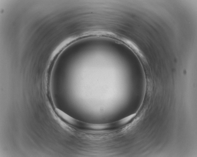 X0000082691046200701261216