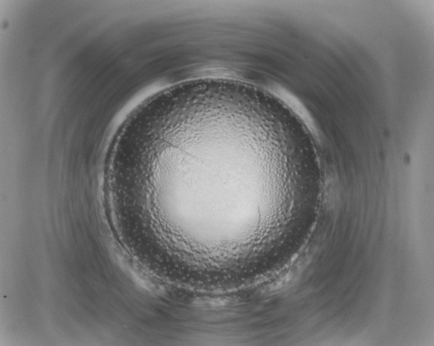 X0000082691051200701261216