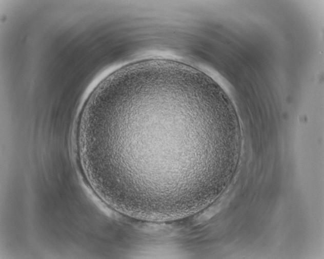X0000082691056200701261216