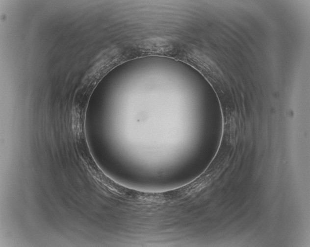 X0000082691058200701261215