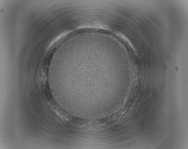 X0000082691064200701261215