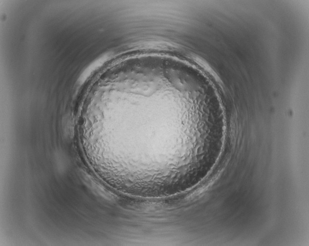 X0000082691067200701261215