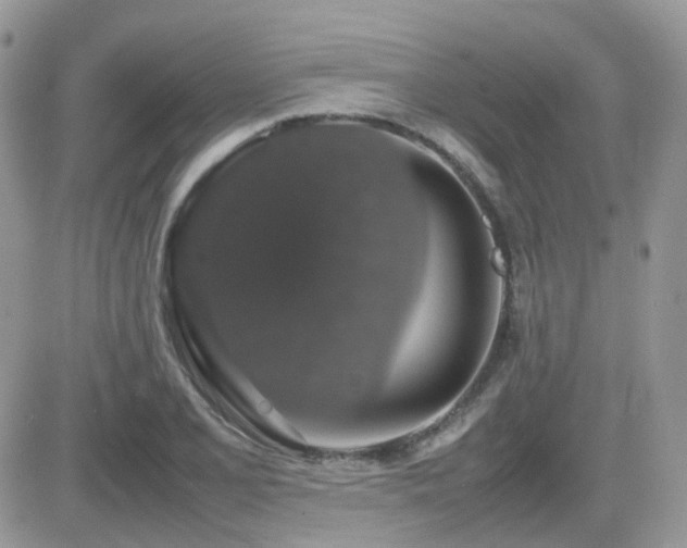 X0000082691077200701261215