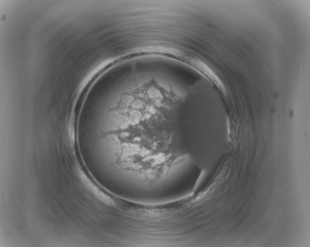 X0000082691084200701261214