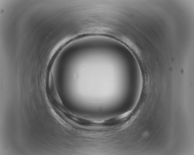 X0000082691085200701261214