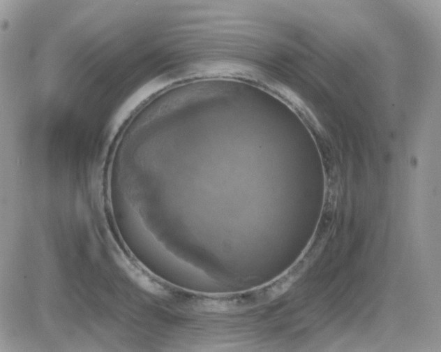 X0000082691086200701261214