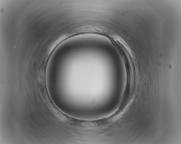 X0000082691089200701261214
