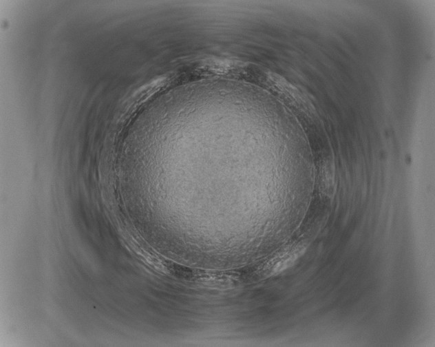 X0000082691105200701261213
