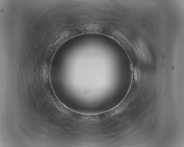 X0000082691107200701261213