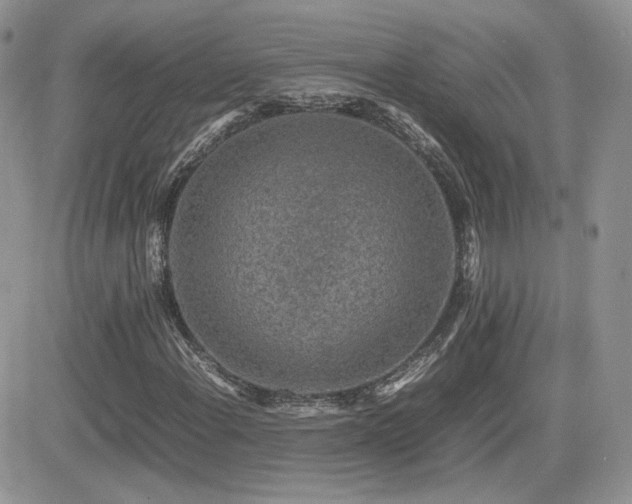 X0000082691108200701261213