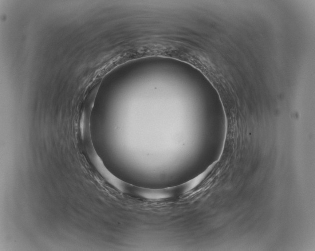 X0000082691109200701261213