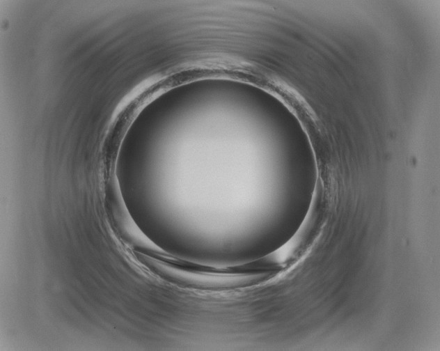 X0000082691114200701261214
