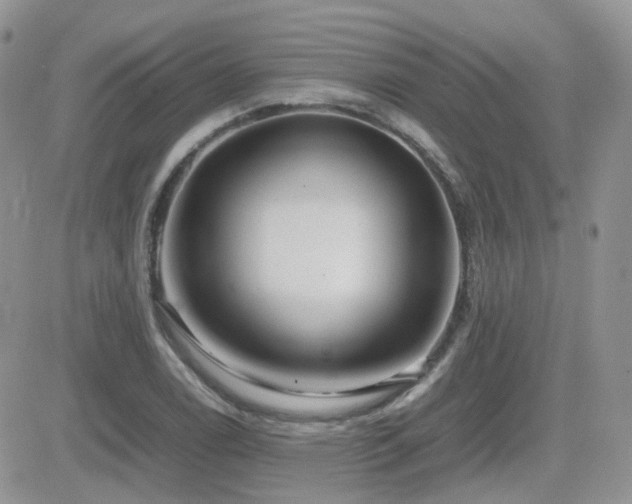 X0000082691122200701261214