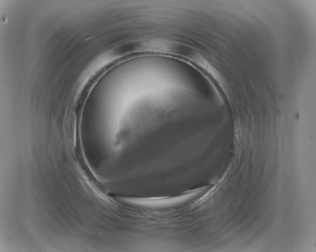 X0000082691123200701261214