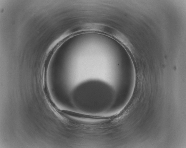 X0000082691127200701261214