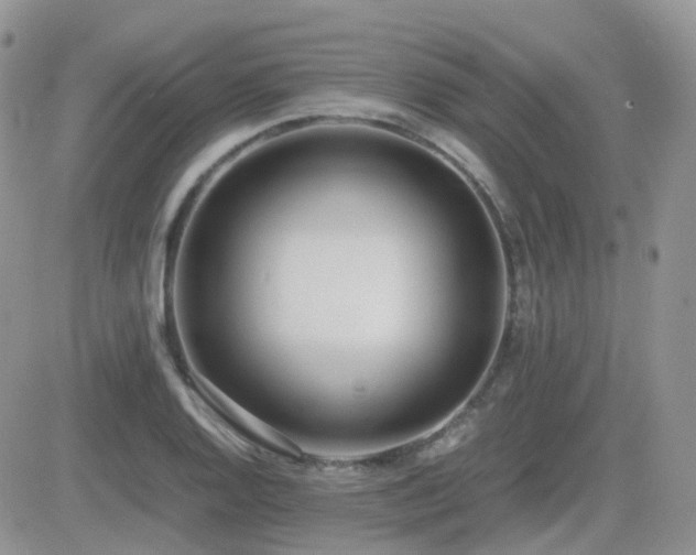 X0000082691128200701261214
