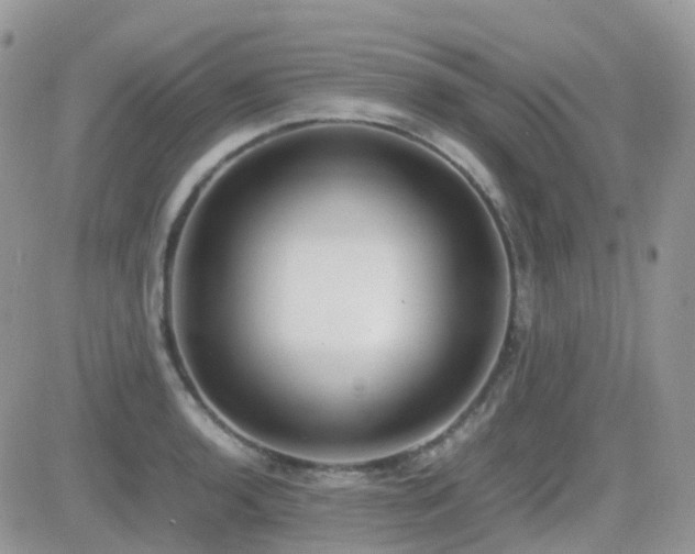 X0000082691136200701261214