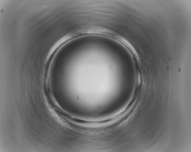 X0000082691138200701261214