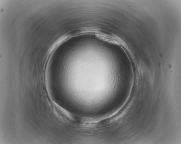 X0000082691145200701261214