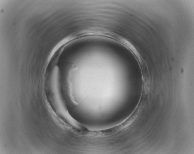 X0000082691146200701261214
