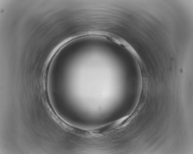 X0000082691148200701261214