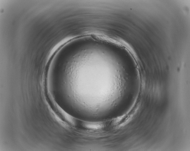 X0000082691149200701261214