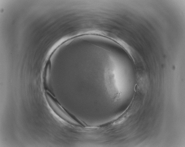 X0000082691151200701261214