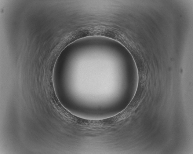 X0000082691153200701261213