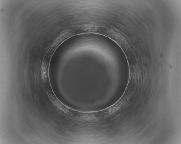 X0000082691154200701261213