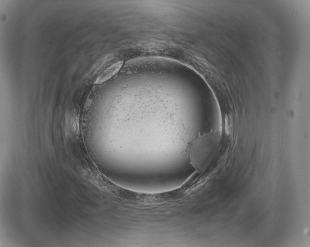 X0000082691155200701261213