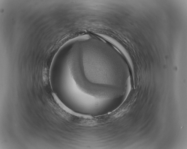 X0000082691156200701261213