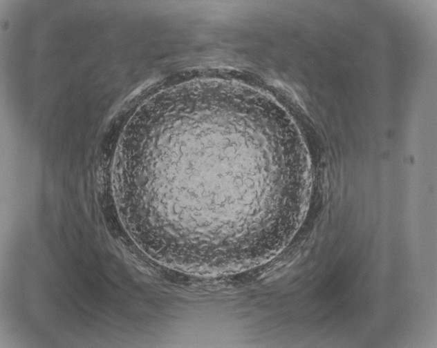 X0000082691159200701261213