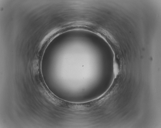 X0000082691164200701261213