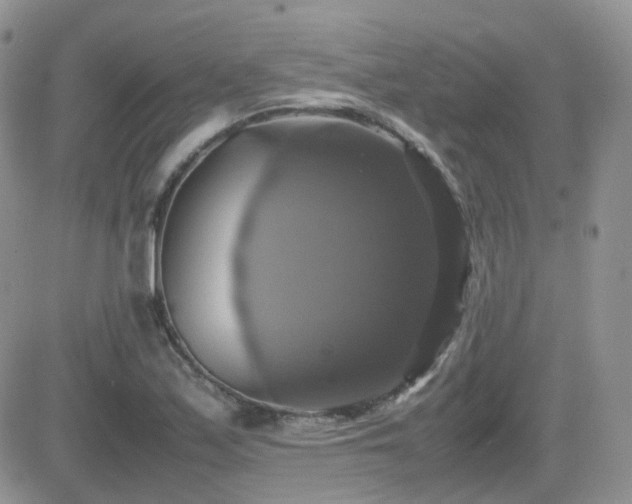 X0000082691171200701261213