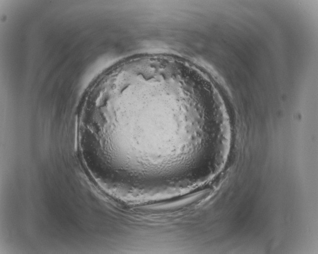 X0000082691175200701261213