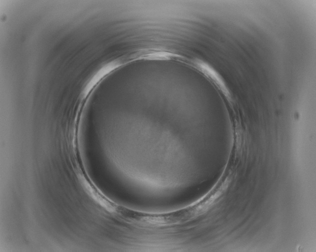 X0000082691194200701261213