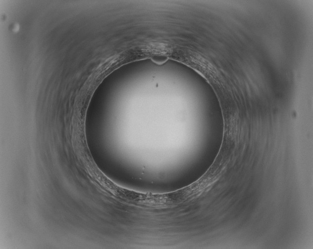 X0000082691201200701261212