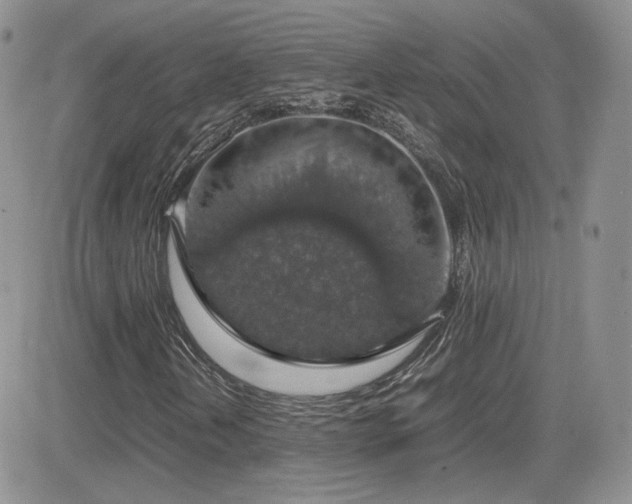 X0000082691202200701261212