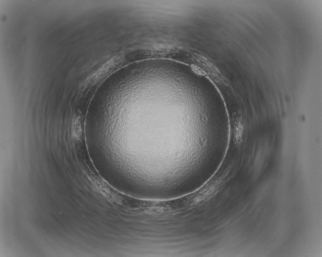 X0000082691204200701261212