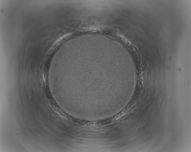 X0000082691206200701261212
