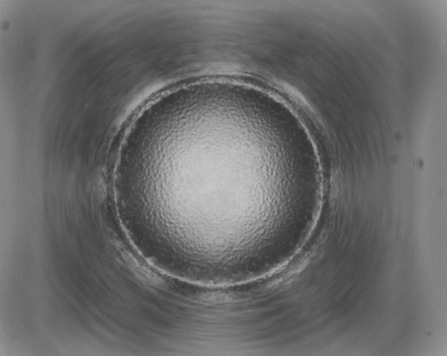 X0000082691212200701261212