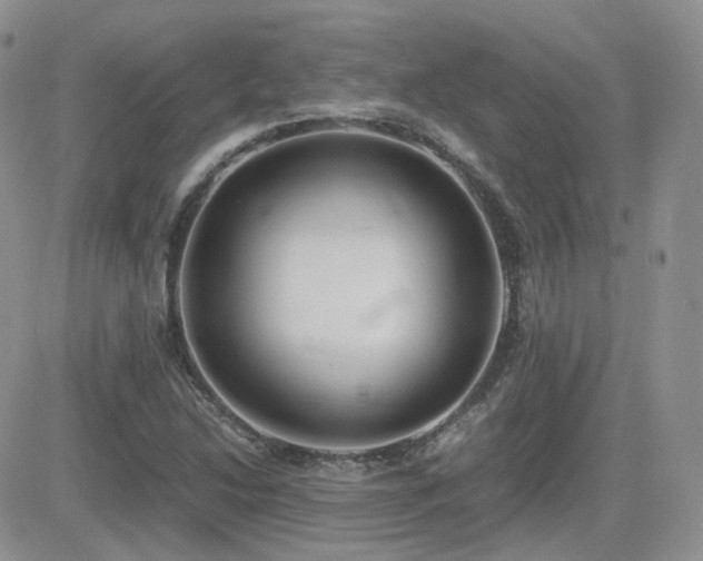 X0000082691214200701261212