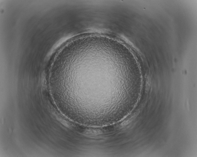X0000082691215200701261212