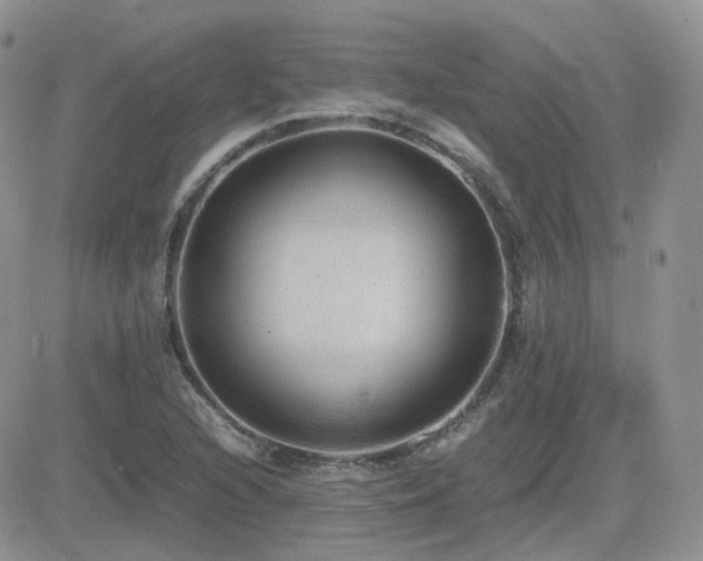 X0000082691216200701261212