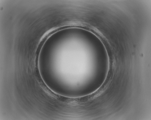 X0000082691222200701261212